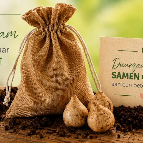 duurzaam relatiegeschenk, duurzaam relatiegeschenk met logo, duurzaam cadeau, groen relatiegeschenk, relatiegeschenk tulpenbollen, tulpenbollen cadeau, jute zakje met tulpenbollen, duurzaam geschenk, maatschappelijk verantwoord cadeau, groeicadeau, relatiegeschenk voorjaar, duurzaam bedankje, origineel relatiegeschenk, milieuvriendelijk relatiegeschenk, duurzaam promotieartikel, duurzaam beursgeschenk, duurzaam weggevertje, relatiegeschenk met kaartje, gepersonaliseerd relatiegeschenk, duurzaam cadeau medewerkers